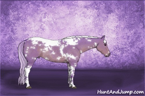Horse Color:Watercolor White Spotted Silver Grullo Tobiano Rabicano