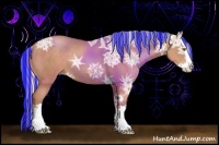 Horse Color:Painted Silver Classic Champagne Ice Sabino Splash Rabicano 