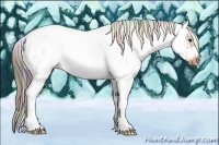 Horse Color:Nacre Buckskin Sabino Frame 