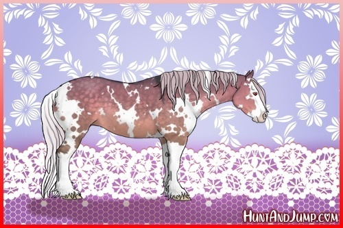 Horse Color:White Spotted Silver Grullo Chinchilla Splash 