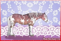 Horse Color:White Spotted Silver Grullo Chinchilla Splash