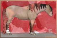 Horse Color:Gray Classic Champagne Roan Dun Sabino 