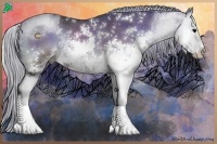 Horse Color:Platinum Silver Blue Onyx Sabino