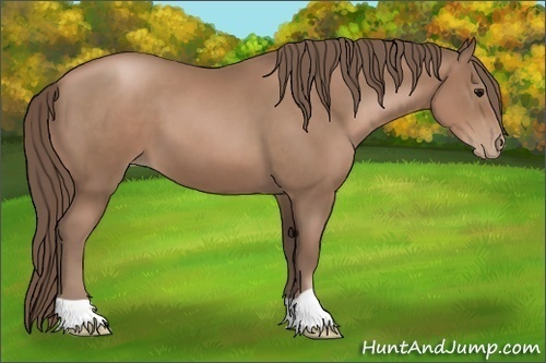 Horse Color:Black Pearl