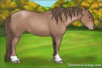 Horse Color:Black Pearl 