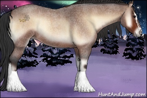 Horse Color:Bay Roan Onyx Sabino Rabicano 