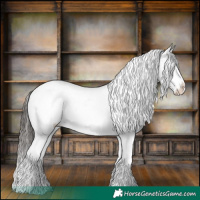 Horse Color:Liver Red Onyx Appaloosa