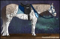 Horse Color:Grullo Sabino Splash  and Classic Champagne Dun Sabino Splash 