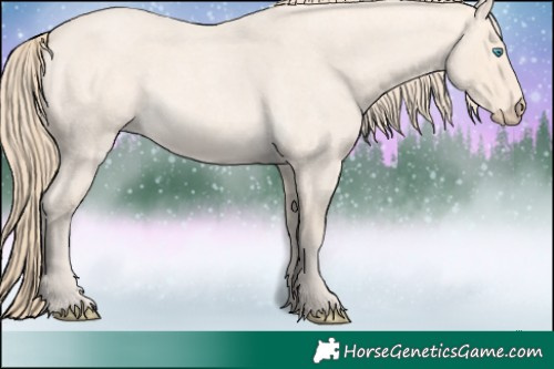 Horse Color:Perlino Roan 