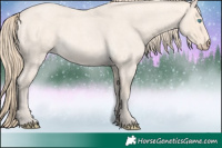 Horse Color:Perlino Roan