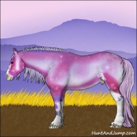Horse Color:Watercolor Silver Brown Onyx Sabino