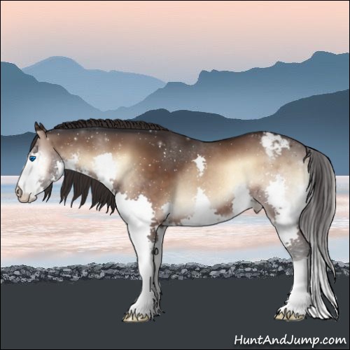 Horse Color:Brown Onyx Splash Varnish 