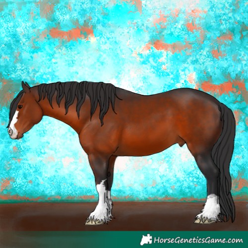 Horse Color:Brown 