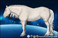 Horse Color:Silver Perlino Roan Rabicano 