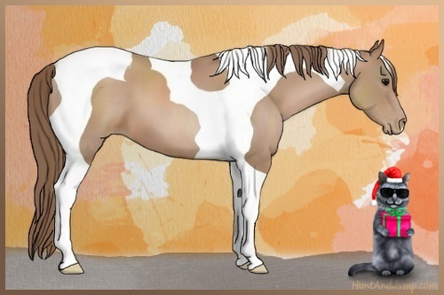 Horse Color:Black Pearl Tobiano 