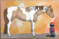 Horse Color:Black Pearl Tobiano 