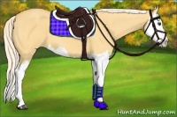 Horse Color:Palomino Dun Splash 