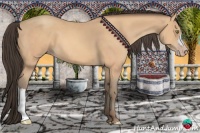 Horse Color:Amber Champagne 