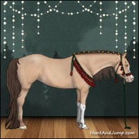 Horse Color:Amber Champagne 