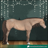 Horse Color:Amber Champagne