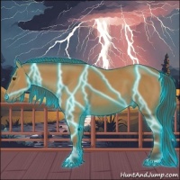 Horse Color:Thunderstruck Buckskin 