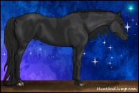 Horse Color:Black and Gray Black