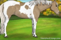 Horse Color:Silver Smoky Black Tobiano Snowcap