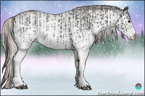 Horse Color:White Spotted Blue Roan Rabicano  and White Spotted Silver Blue Roan Rabicano 