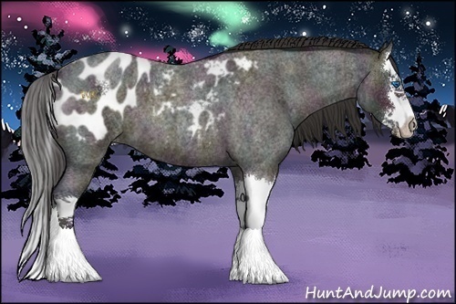Horse Color:Midnight Brown Ice Roan Dun Splash Appaloosa 