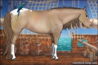 Horse Color:Black Pearl Sabino Tobiano Rabicano