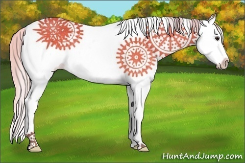 Horse Color:White Spotted Silver Buckskin Splash