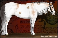Horse Color:White Spotted Buckskin 
