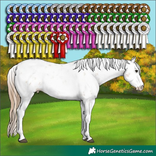 Horse Color:Black Pearl Sabino Rabicano 