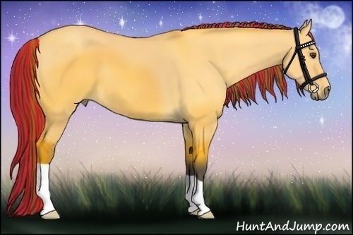 Horse Color:Painted Buckskin Dun 