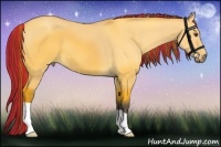Horse Color:Painted Buckskin Dun