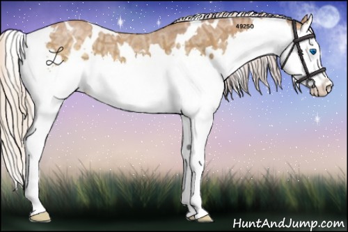 Horse Color:White Spotted Silver Smoky Blue Ice Roan Splash 