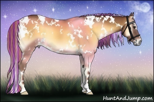 Horse Color:Painted White Spotted Red Onyx 