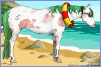 Horse Color:Painted Red Dun Roan Splash Tobiano 