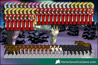 Horse Color:Black Sabino Tobiano Rabicano 