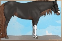 Horse Color:Liver Chestnut 