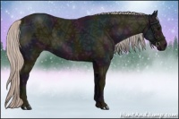 Horse Color:Midnight Silver Black Ice 