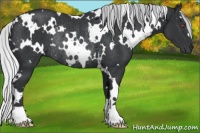 Horse Color:White Spotted Silver Black Chinchilla Rabicano 