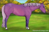 Horse Color:Watercolor Silver Brown 