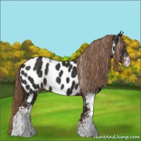 Horse Color:White Spotted Liver Chestnut Near Leopard 