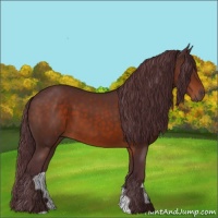 Horse Color:Chocolate Brown 