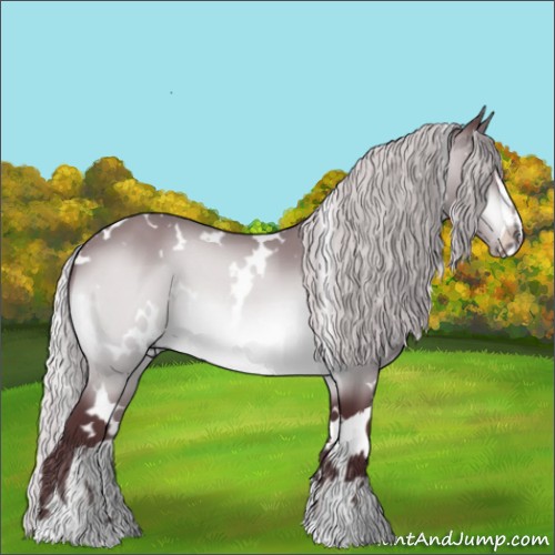 Horse Color:White Spotted Chocolate Silver Brown Chinchilla Sabino