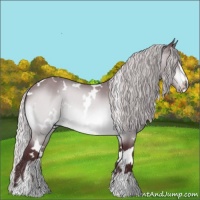 Horse Color:White Spotted Chocolate Silver Brown Chinchilla Sabino