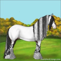 Horse Color:White Spotted Brown Near Fewspot 