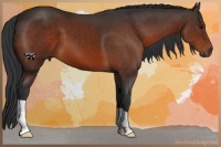 Horse Color:Brown 