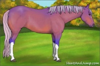 Horse Color:Watercolor Silver Brown 